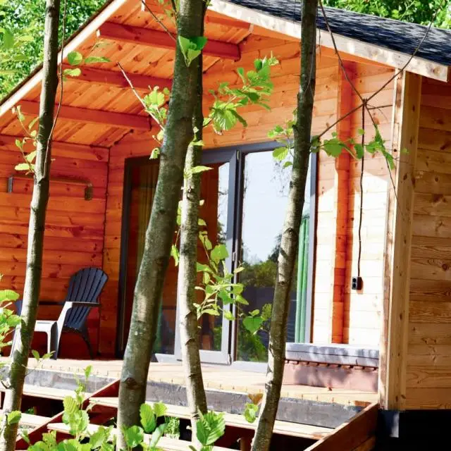 Real photos of Aqua Resort Dacha