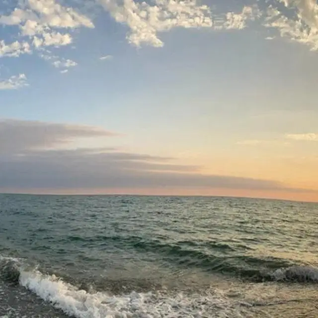 Real photos of The Black Sea Oasis
