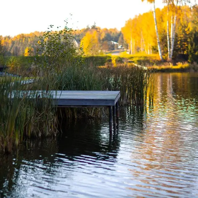 Real photos of Dobrograd Lake