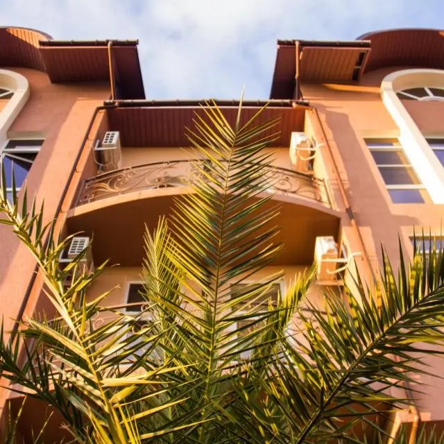 Real photos of Papaya Park Hotel