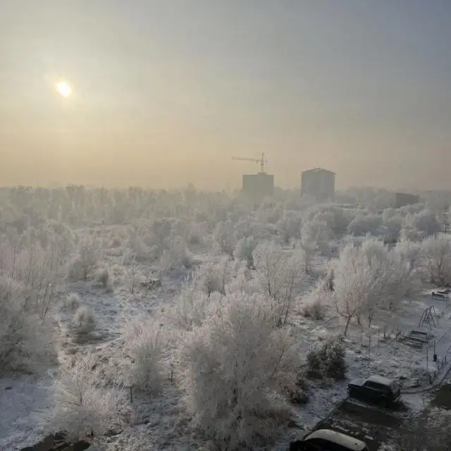 Real photos of Apartments on Tregubenko street 57