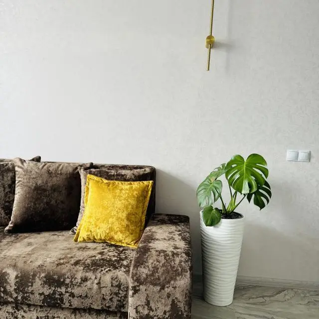 Real photos of Apartment Home on Essen Street 12