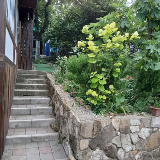 Real photos of Apartments on 4 Shkolnaya Street