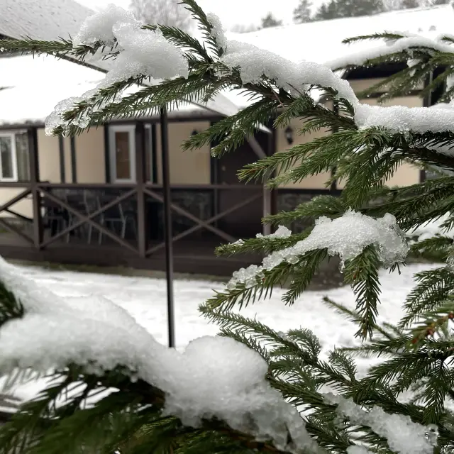 Real photos of Challe Cottage