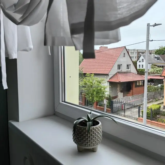 Real photos of Amalienau Apartments on Yeniseiskaya street 27