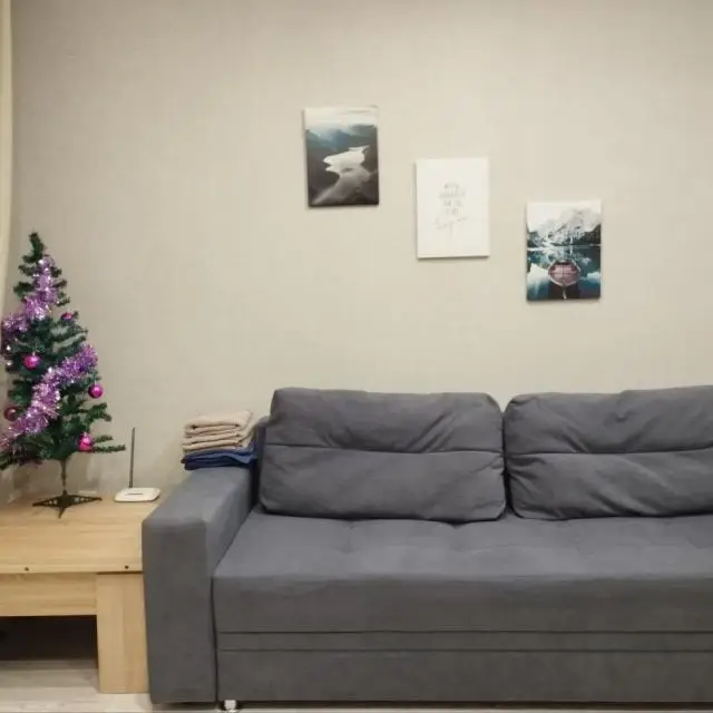 Real photos of Apartments on Melnikaite street 2k11