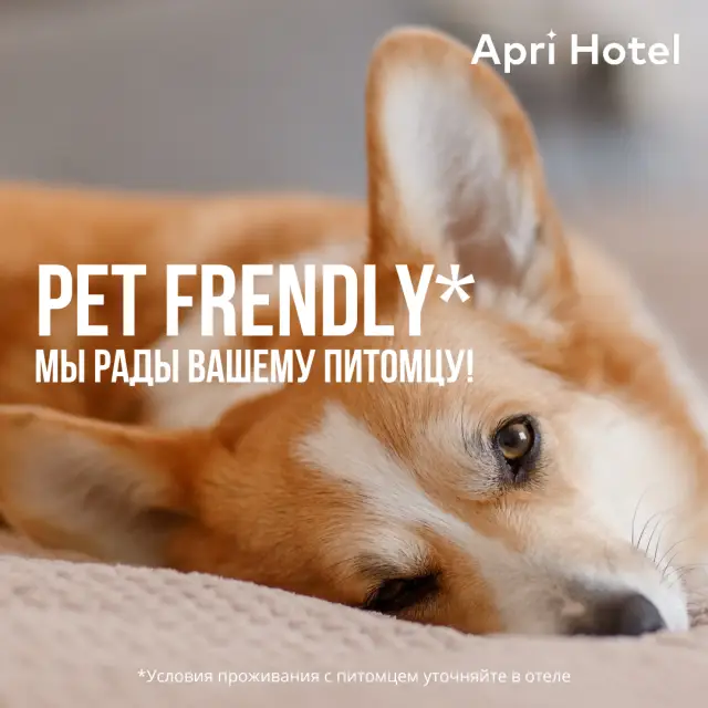 Real photos of Apri Hotel Perm City Center (Apri Hotel Perm City Center)
