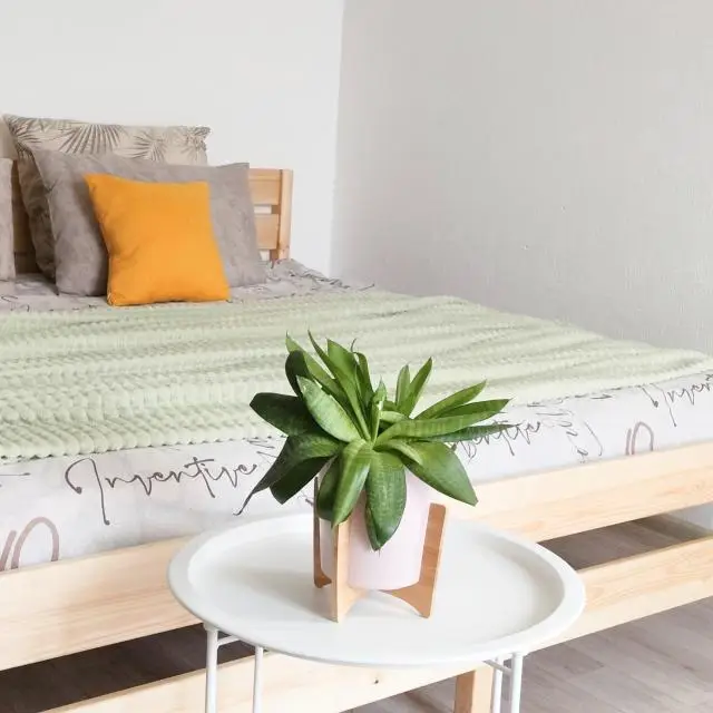 Real photos of Apartments on Zagorovsky str 1
