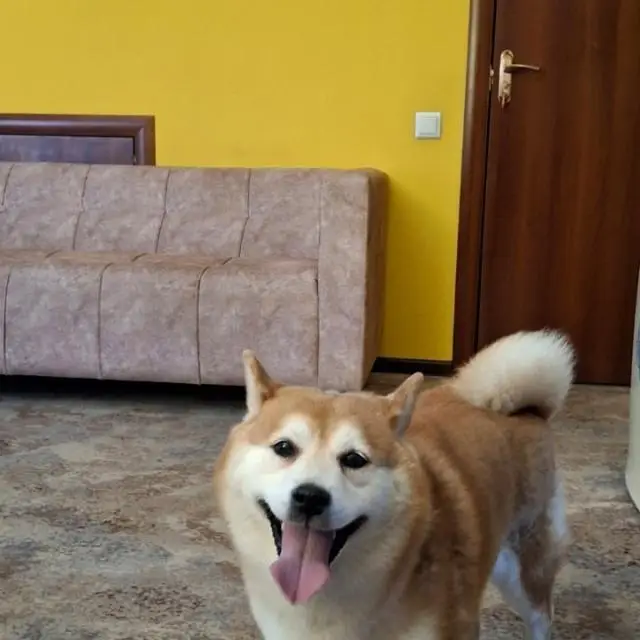 Real photos of Boomerang