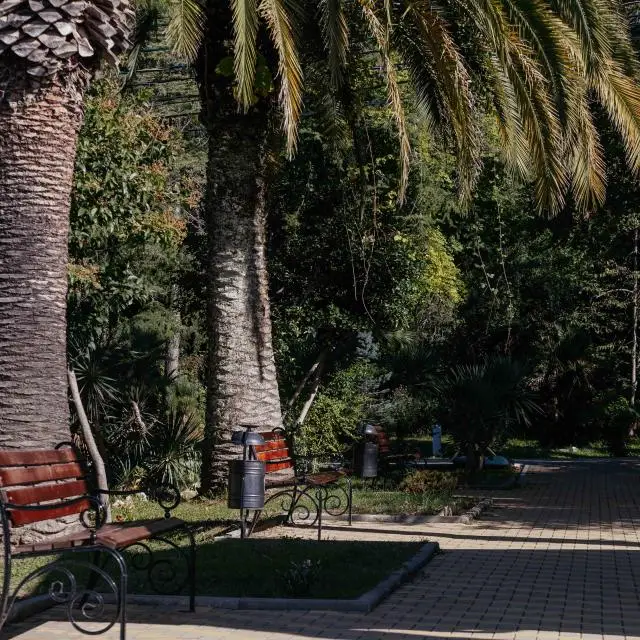 Real photos of Kavkaz Park Hotel