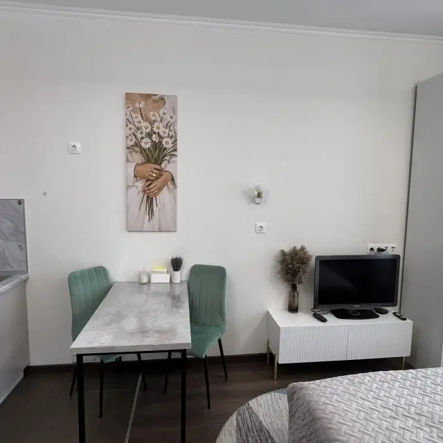 Real photos of Cozy studio at Botkin Hospital