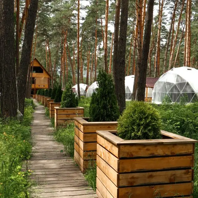 Real photos of Sila Lesa (ex. Royal Forest)
