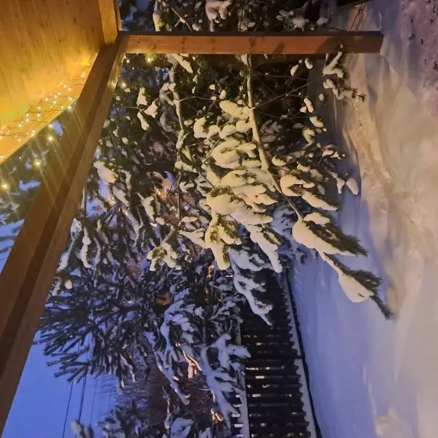 Real photos of Domiki na Lugovom