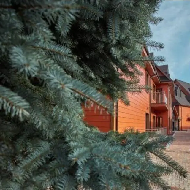 Реальные фото Апартаменты в отеле Red wood