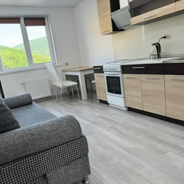 Real photos of Apartments on Colonel Fesyun Street 17