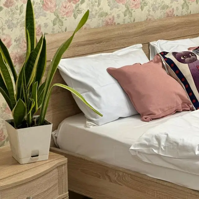 Real photos of Two-bedroom family apartment with a view of the Kremlin and the Ascension Cathedral