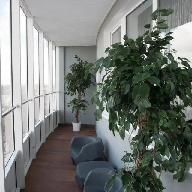 Real photos of Grand Hotel Oka Premium