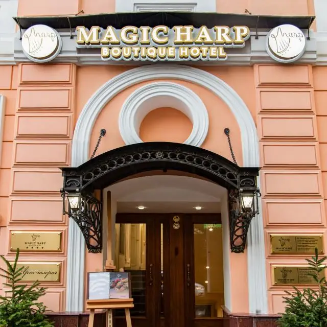 Real photos of Magic Harp