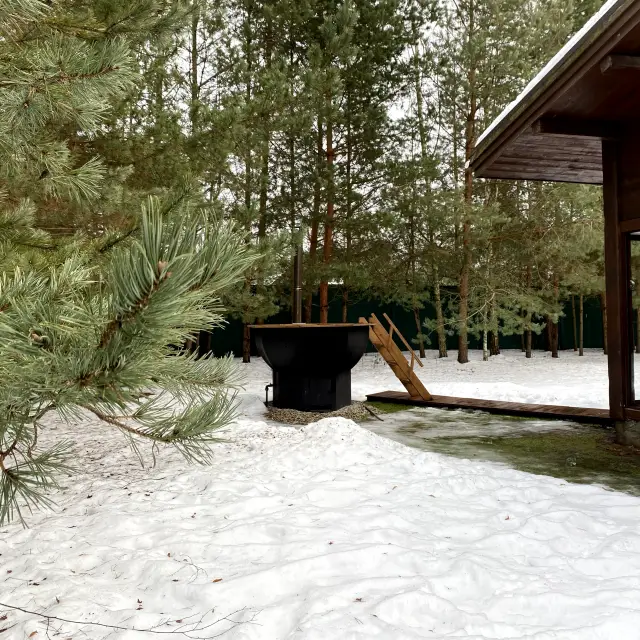 Real photos of Zavidovo-2 Club Village