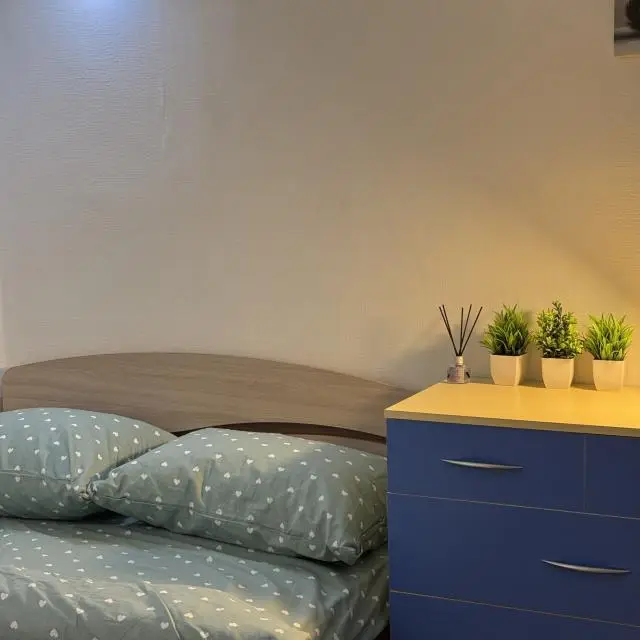 Real photos of Apartments on Serova street
