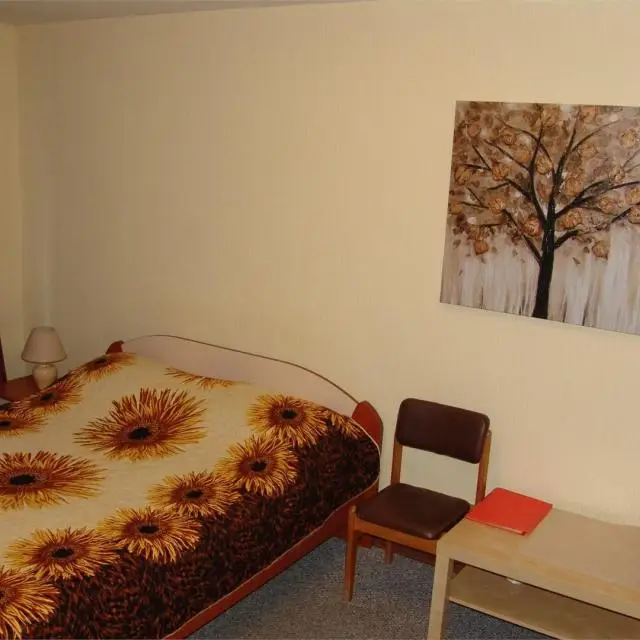 Real photos of Apartments on Krasny lane 8