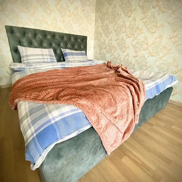 Real photos of Rental Family Rooms on Vladimir Nevsky Street 25/3