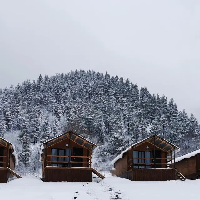 Реальные фото Arkhyz Family Lodge (Архыз Фэмили Лодж) 