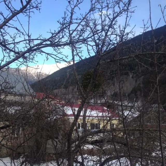 Real photos of Narat