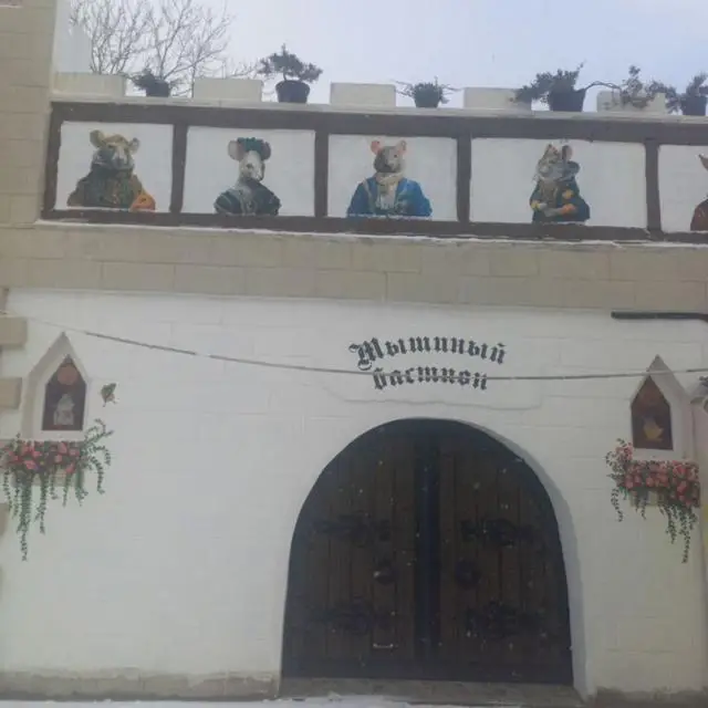 Реальные фото Замок Мышиный баcтион