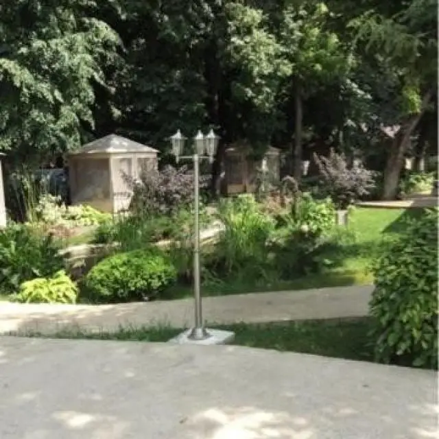 Реальные фото Александрия